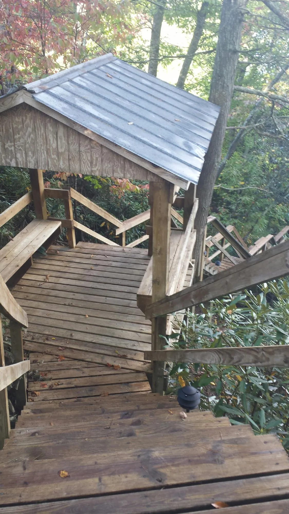 Metal roofed shelter over wooden steps on a wooded walkway — Skylight Repair & Installation work by our crew in North Highlands