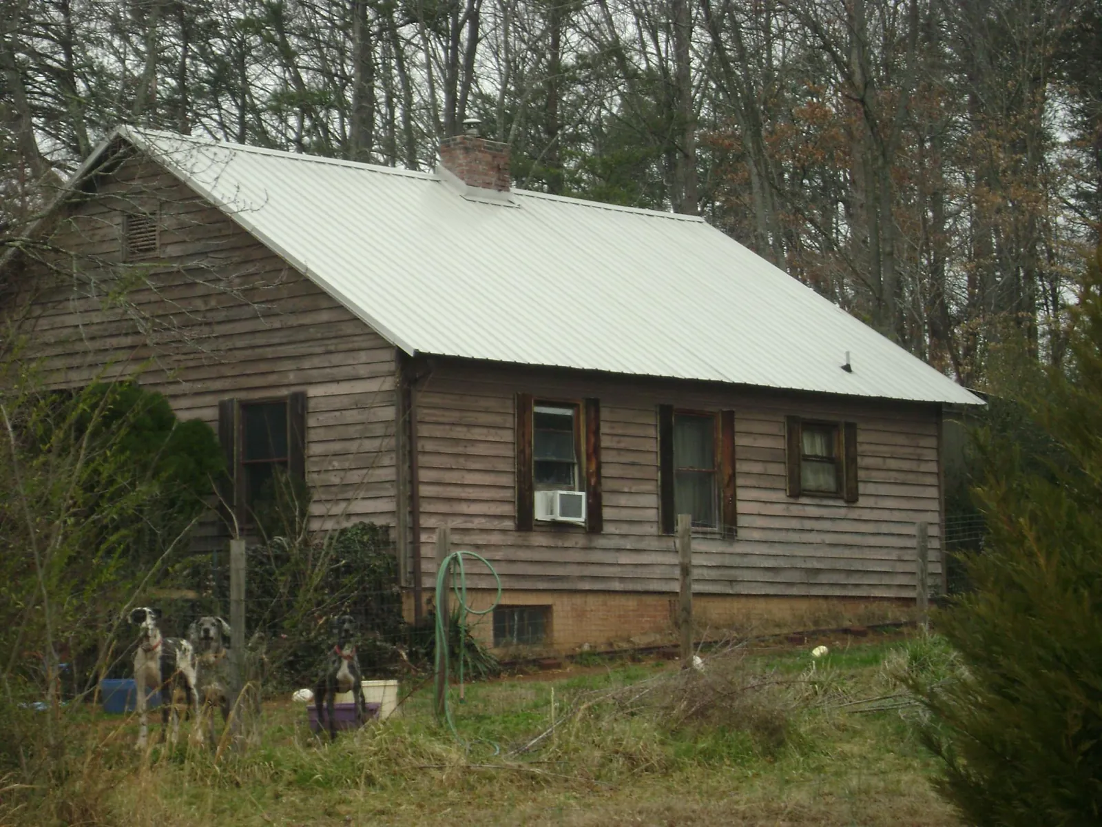 White metal roof on an old wood sided farmhouse, from a Asphalt Shingle Roof Repair job in North Highlands
